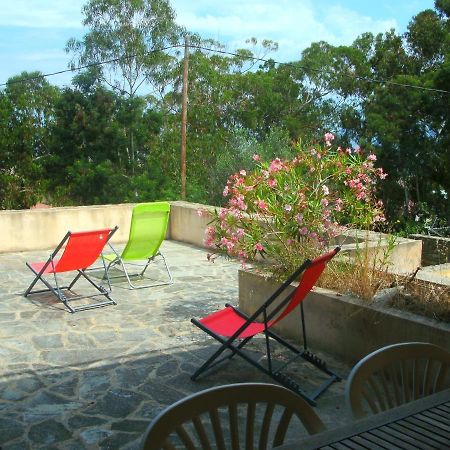 Location St Flo Apartment Saint-Florent  Exterior photo